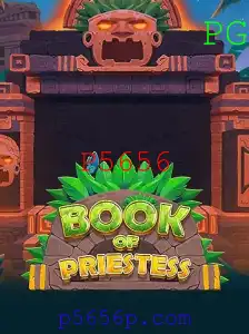 Explorando o Fascinante Mundo de BookOfPriestess